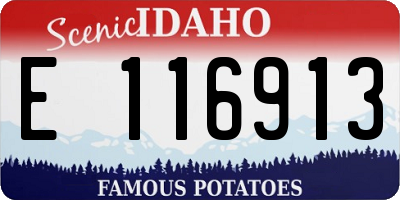 ID license plate E116913