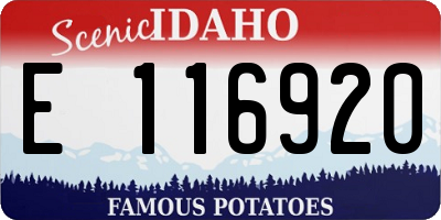 ID license plate E116920