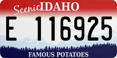 ID license plate E116925