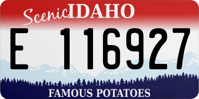 ID license plate E116927