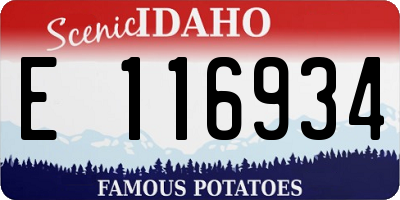 ID license plate E116934