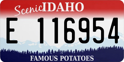 ID license plate E116954