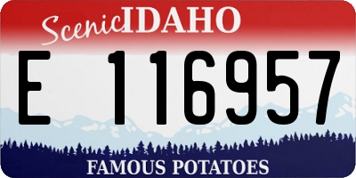ID license plate E116957