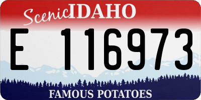 ID license plate E116973
