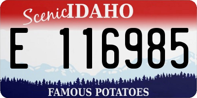 ID license plate E116985
