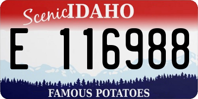 ID license plate E116988