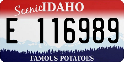 ID license plate E116989