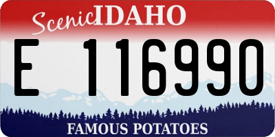 ID license plate E116990