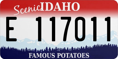 ID license plate E117011