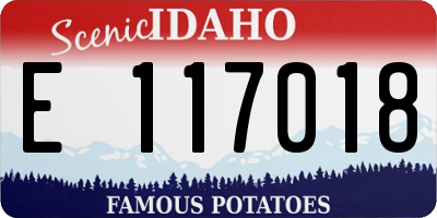 ID license plate E117018