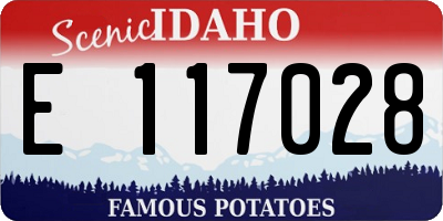 ID license plate E117028