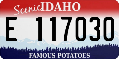 ID license plate E117030