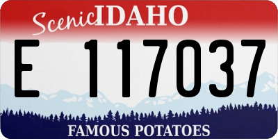 ID license plate E117037
