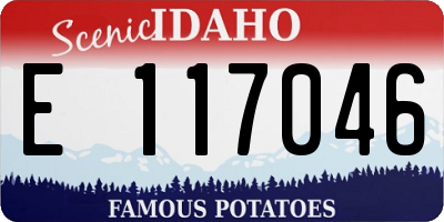 ID license plate E117046