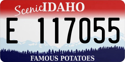 ID license plate E117055