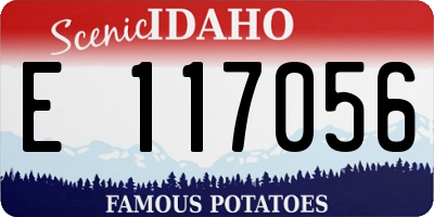 ID license plate E117056