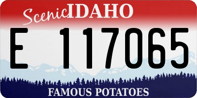 ID license plate E117065