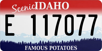 ID license plate E117077