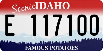 ID license plate E117100