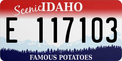 ID license plate E117103