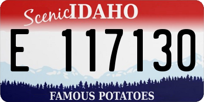 ID license plate E117130