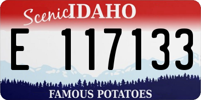 ID license plate E117133