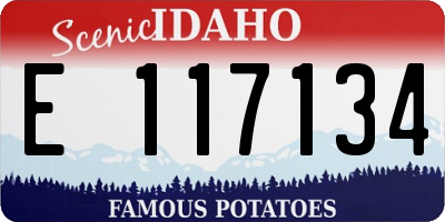 ID license plate E117134