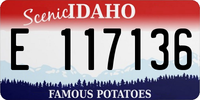 ID license plate E117136