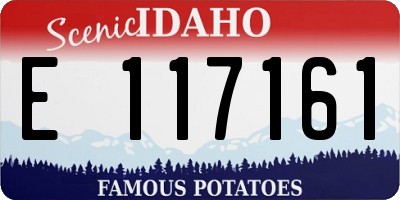 ID license plate E117161