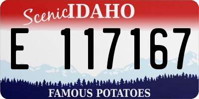 ID license plate E117167