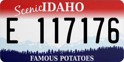 ID license plate E117176