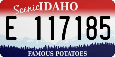 ID license plate E117185