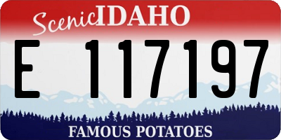ID license plate E117197
