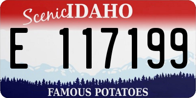 ID license plate E117199