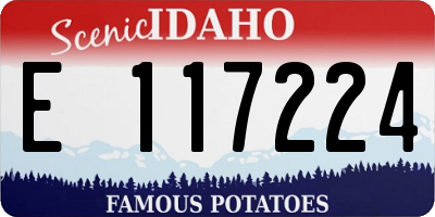 ID license plate E117224