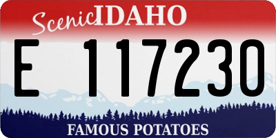 ID license plate E117230