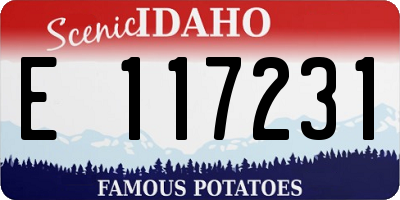 ID license plate E117231
