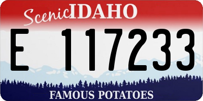 ID license plate E117233