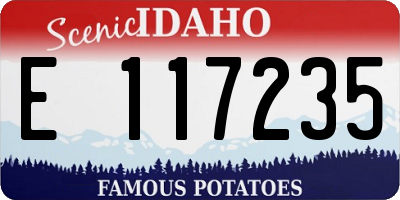 ID license plate E117235