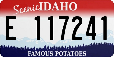 ID license plate E117241