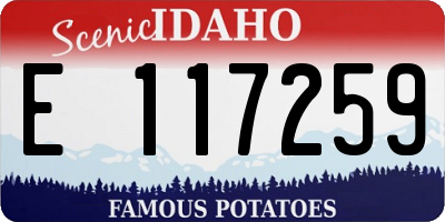 ID license plate E117259