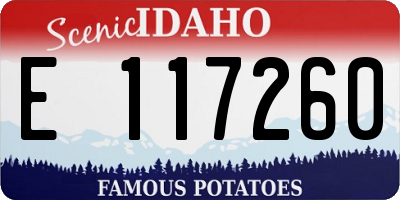 ID license plate E117260