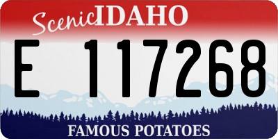 ID license plate E117268