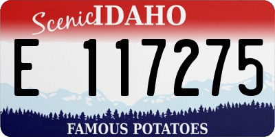 ID license plate E117275