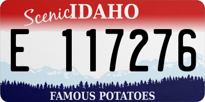 ID license plate E117276