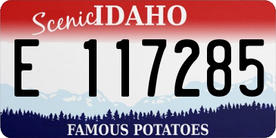 ID license plate E117285