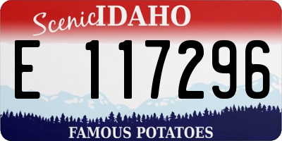 ID license plate E117296