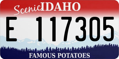 ID license plate E117305