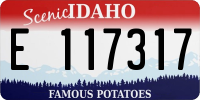 ID license plate E117317