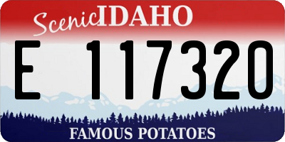 ID license plate E117320